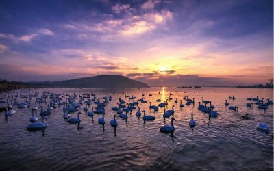 “文旅融合发展 乐享好客山东” 首届中国国际文化旅游博览会在山东举办